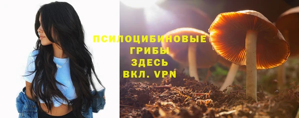 гашик Верхний Тагил