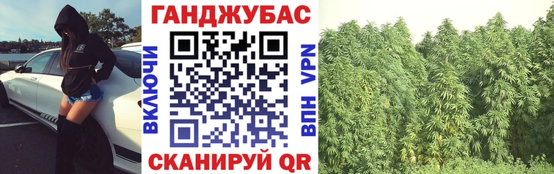 Бошки марихуана индика  Новоржев 